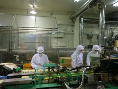 赴日本冰淇淋加工